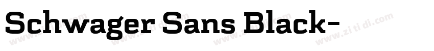 Schwager Sans Black字体转换 Schwager Sans Black字体转换